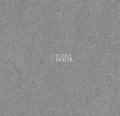 Линолеум Forbo Marmoleum Marbled Fresco 3866-386635 eternity фото 1 | FLOORDEALER